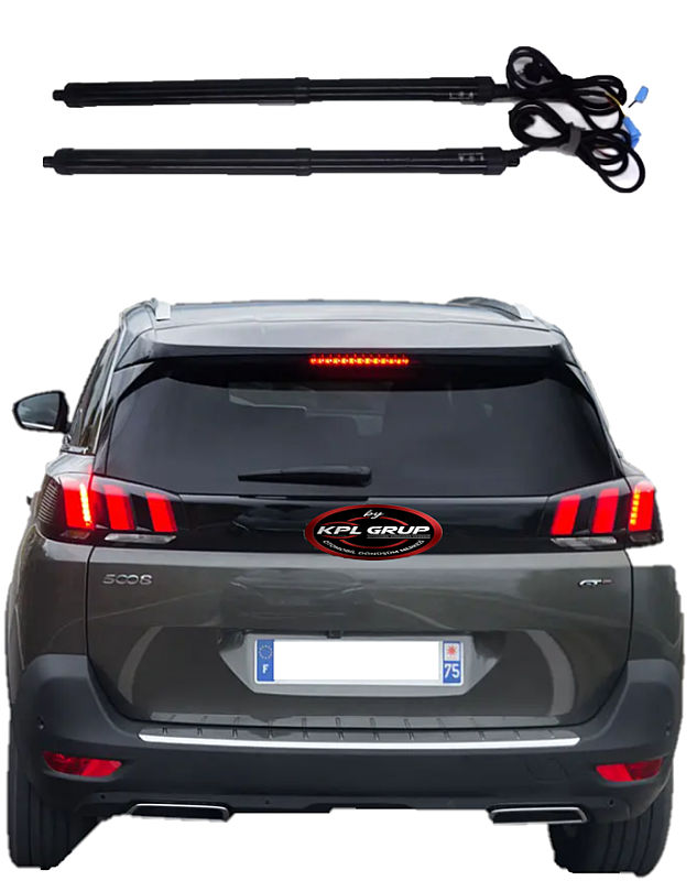 PEUGEOUT 5008 Çift Motor 2018 + NS03 - 1